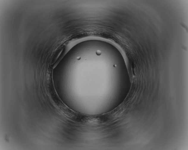 X0000090980456200708241407