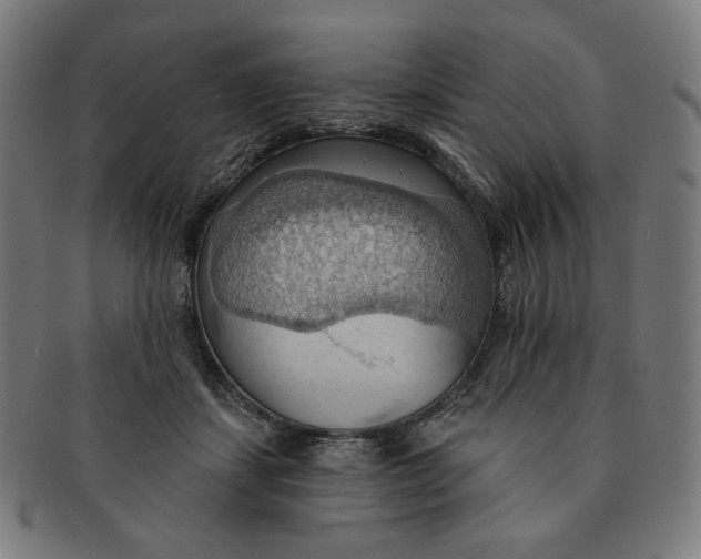 X0000090980459200708241407