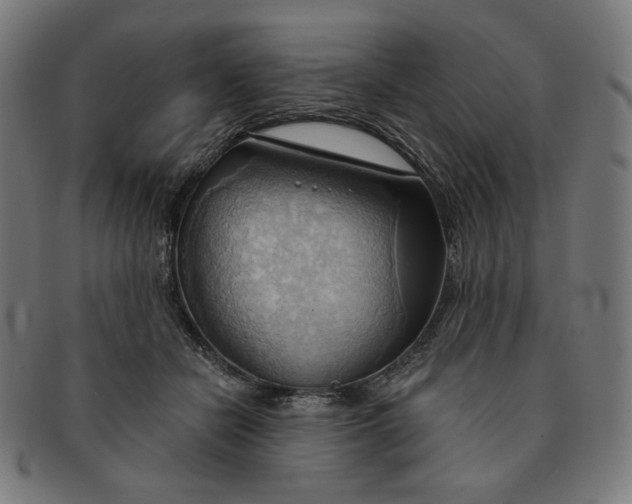 X0000090980462200708241407
