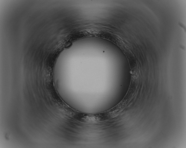 X0000090980464200708241407