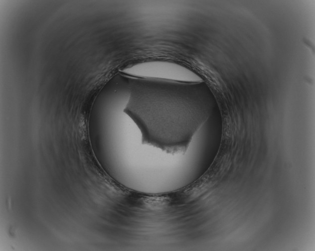 X0000090980465200708241407