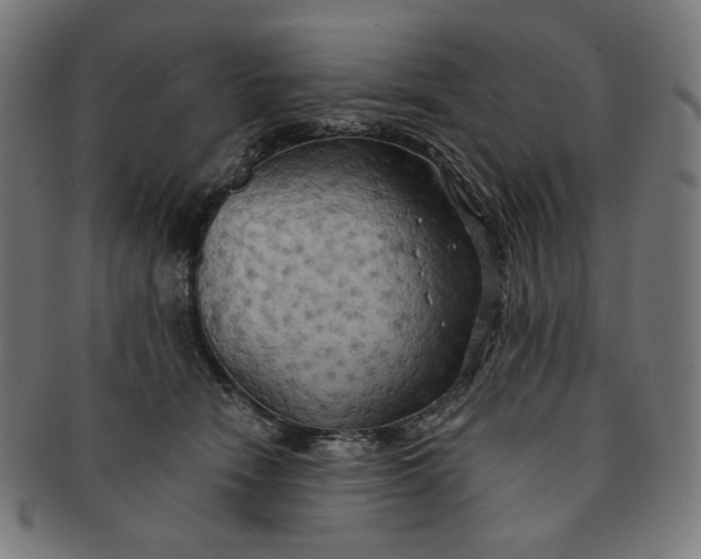 X0000090980466200708241407