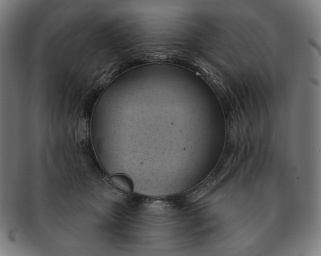 X0000090980467200708241407