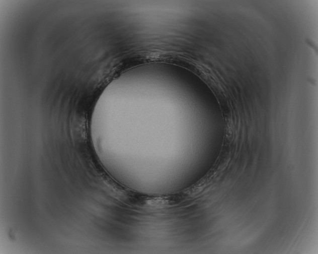 X0000090980470200708241407