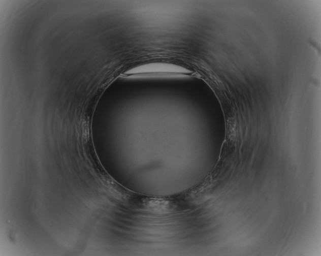 X0000090980471200708241407