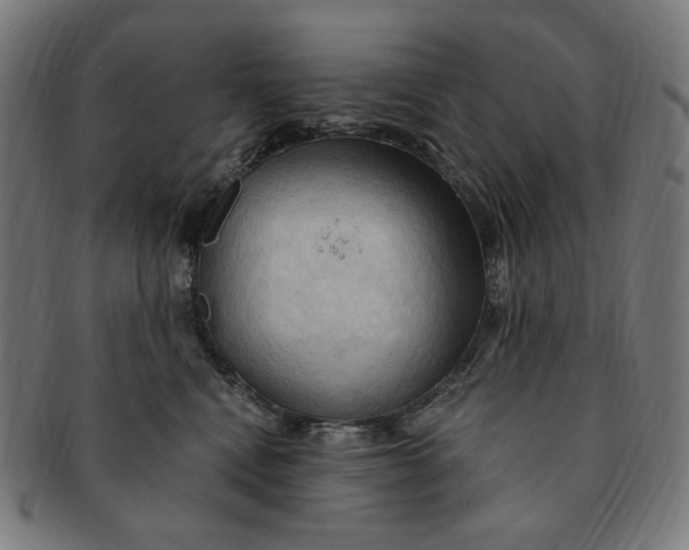X0000090980472200708241407