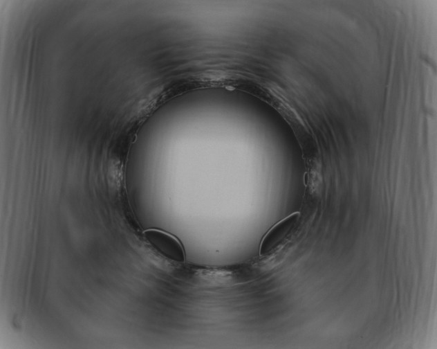 X0000090980476200708241407