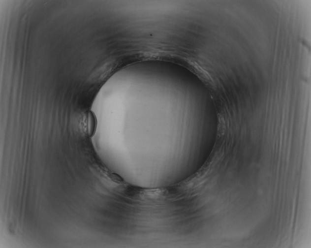 X0000090980479200708241407