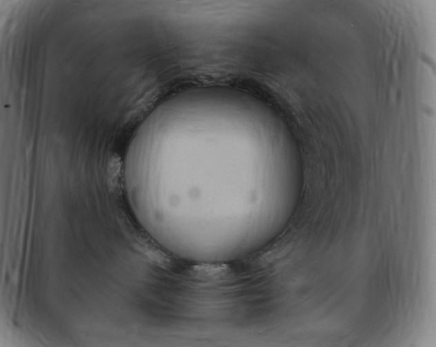 X0000090980480200708241407