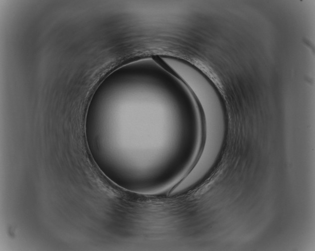 X0000090980481200708241406