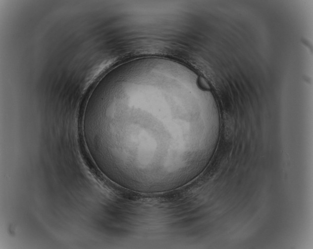X0000090980482200708241406