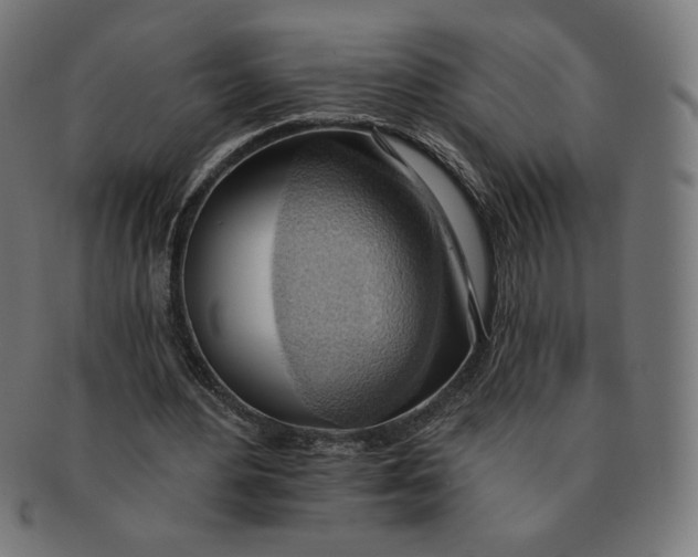 X0000090980484200708241406