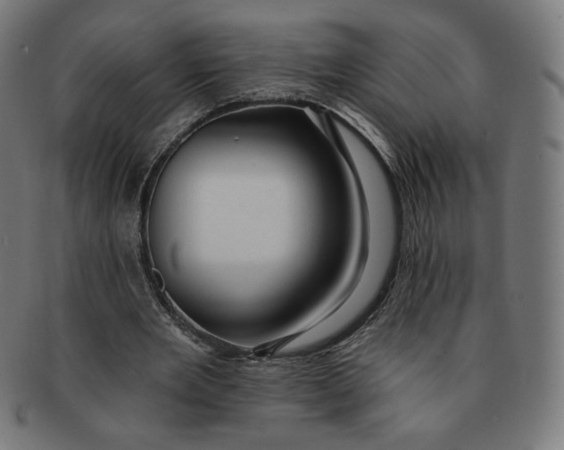 X0000090980485200708241406