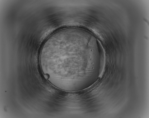 X0000090980487200708241406