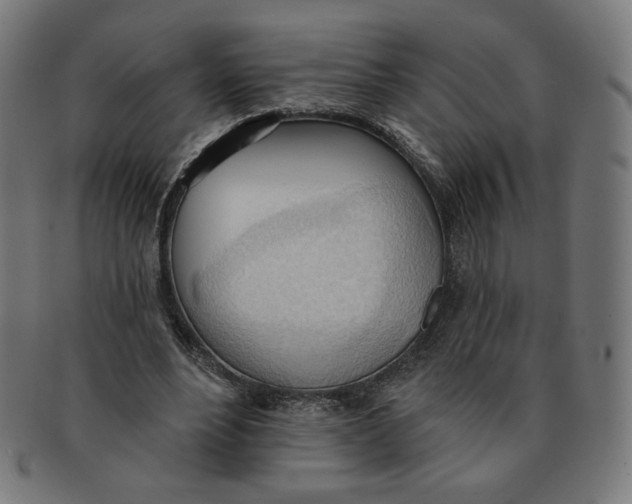 X0000090980488200708241406