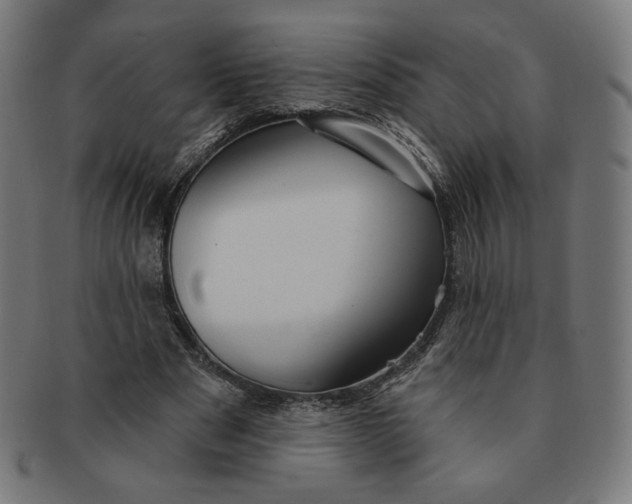 X0000090980489200708241406