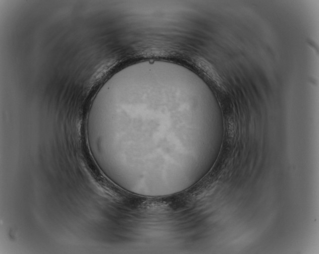 X0000090980491200708241406
