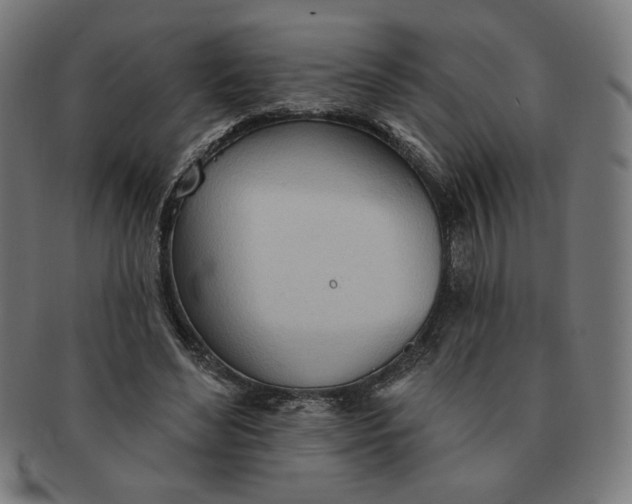 X0000090980492200708241406