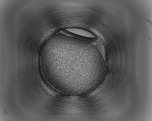 X0000090980493200708241406