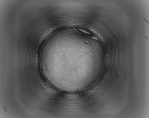 X0000090980494200708241406