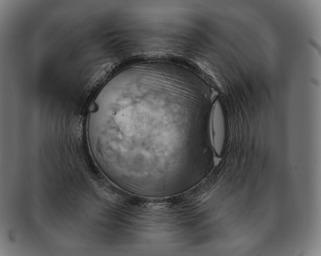 X0000090980495200708241406
