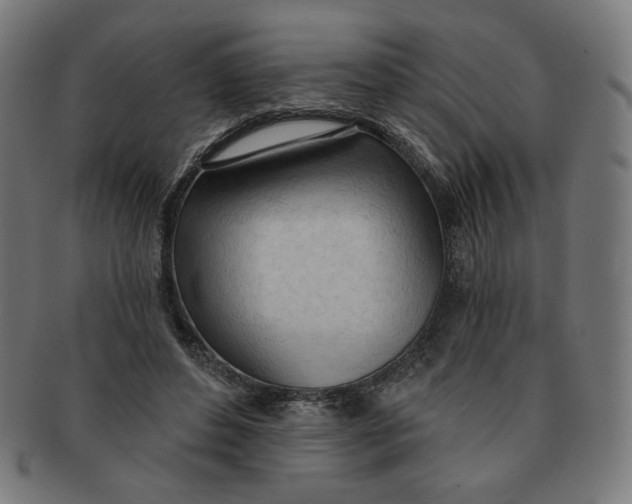 X0000090980496200708241406