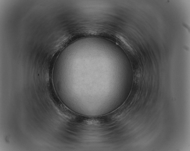 X0000090980500200708241406