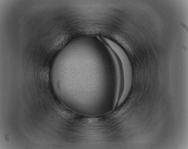 X0000090980501200708241406