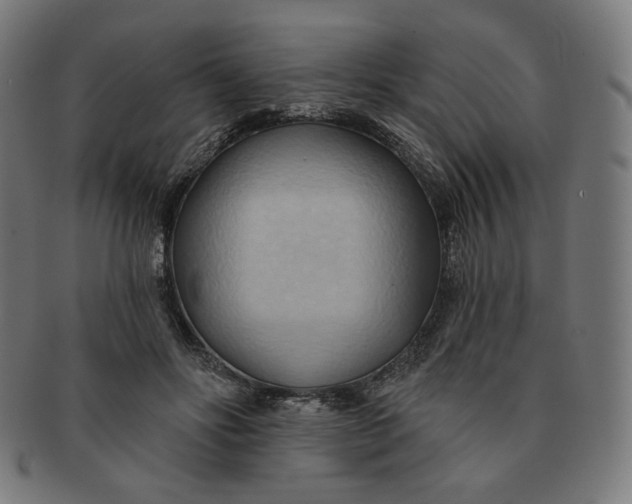 X0000090980502200708241406
