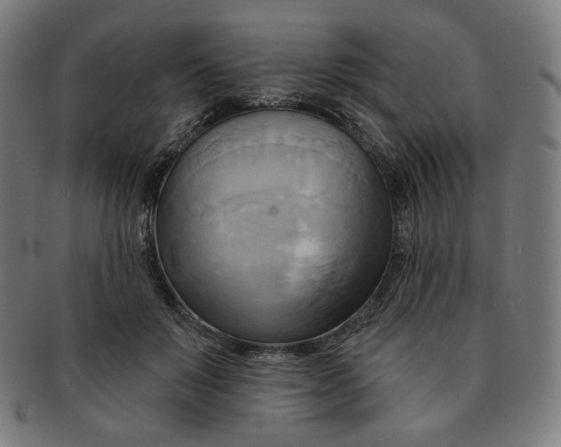 X0000090980503200708241406