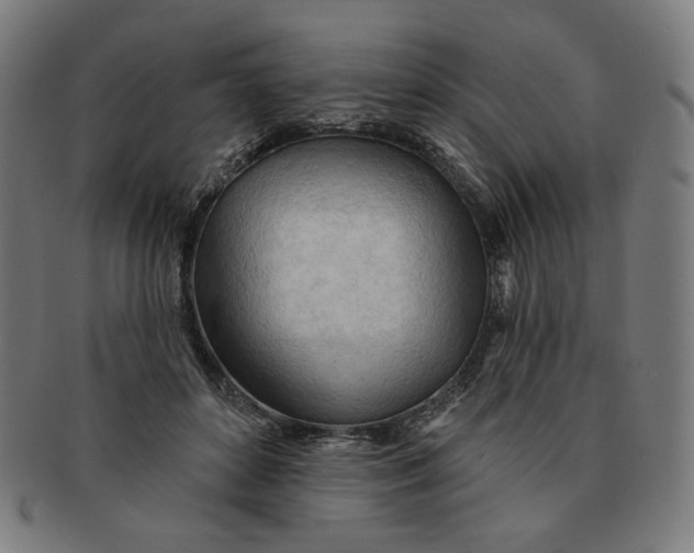 X0000090980504200708241406
