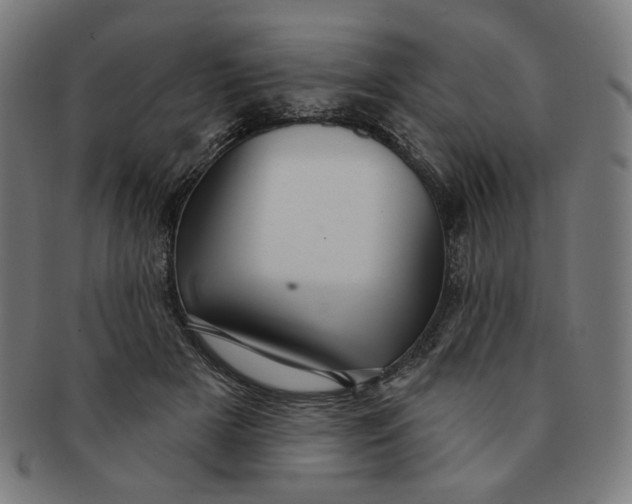 X0000090980505200708241406