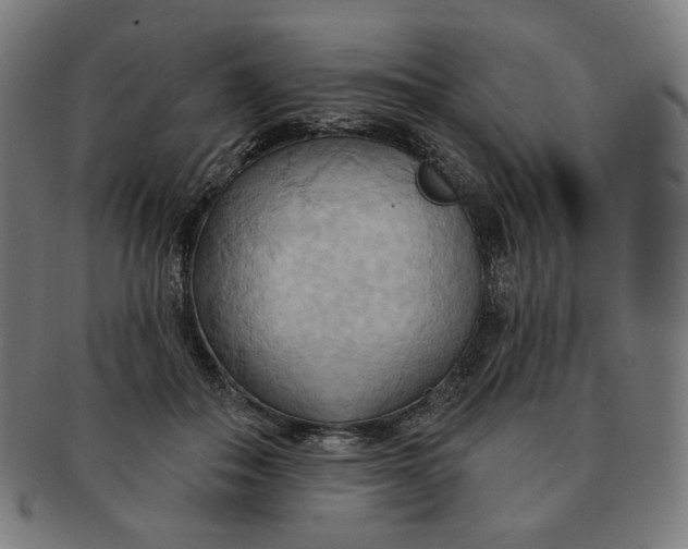 X0000090980506200708241406