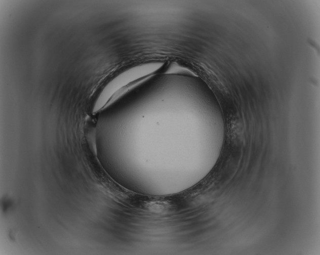 X0000090980508200708241406