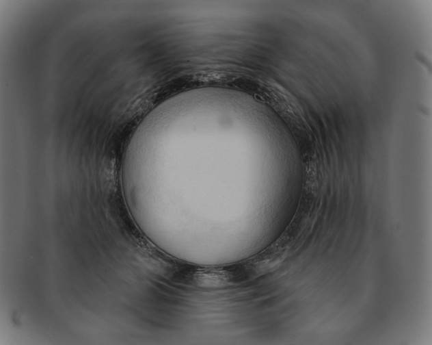 X0000090980510200708241406