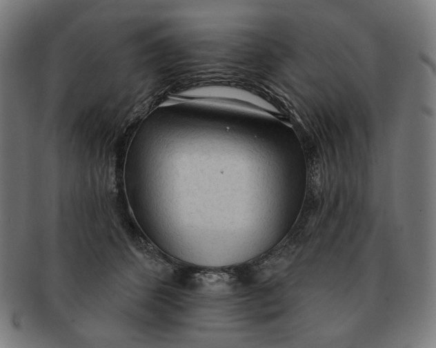X0000090980512200708241406