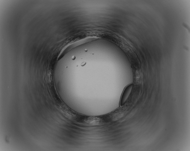 X0000090980514200708241406