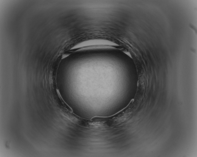 X0000090980516200708241406