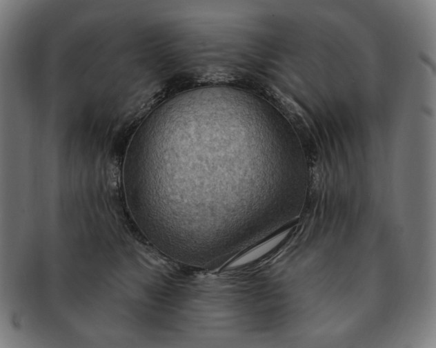 X0000090980517200708241406