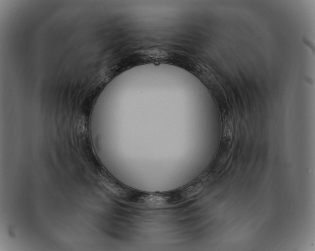 X0000090980518200708241406