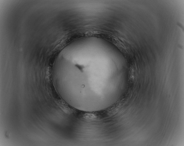 X0000090980519200708241406