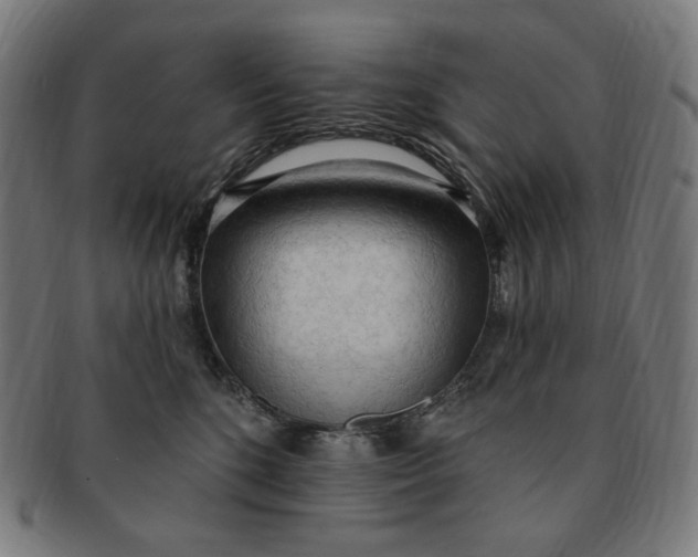 X0000090980520200708241406
