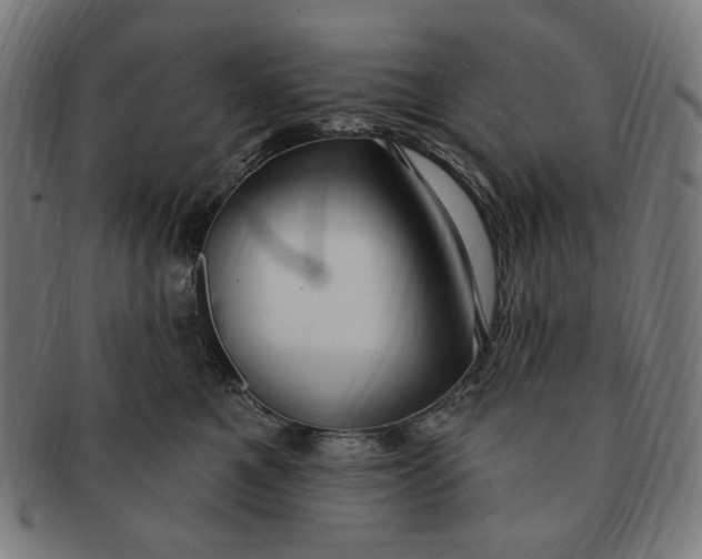 X0000090980521200708241406