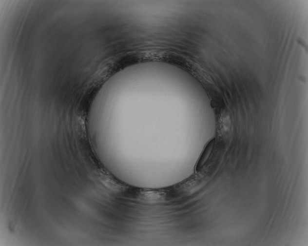 X0000090980522200708241406