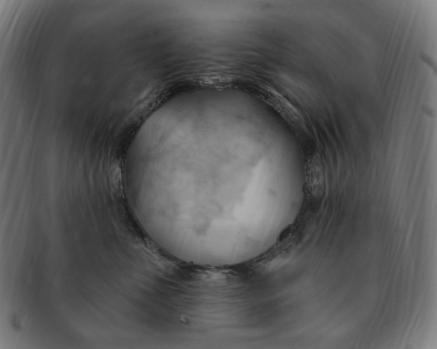 X0000090980523200708241406