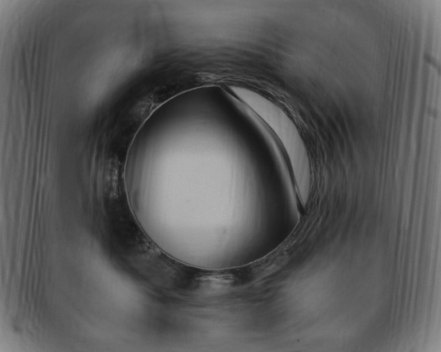 X0000090980525200708241406