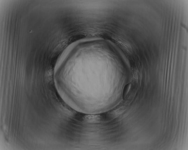 X0000090980526200708241406