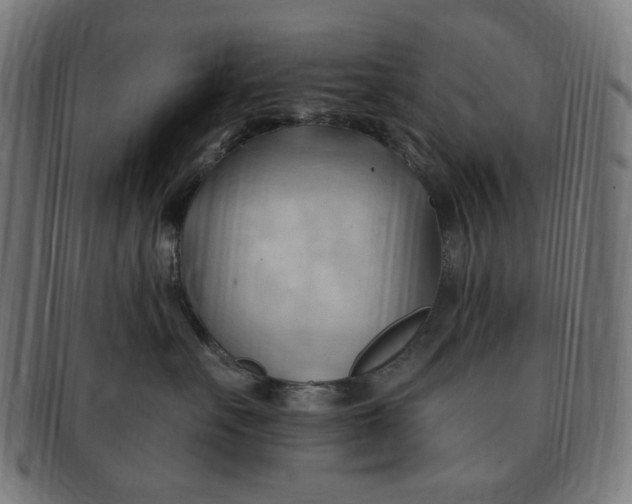 X0000090980527200708241406