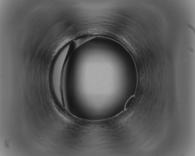 X0000090980530200708241405