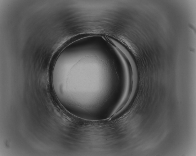 X0000090980532200708241405